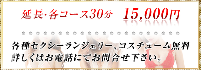 その他の料金